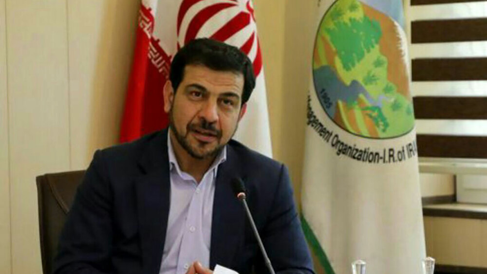 صدور بیمه مسئولیت برای آسیبدیدگان حریق امسال صدور بیمه مسئولیت برای آسیبدیدگان حریق امسال
