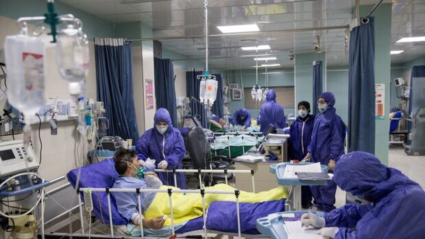 افزایش بیماران بدحال کرونایی در بوشهر