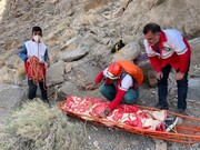 مرد ۵۰ ساله بر اثر سقوط از کوه صفه جان باخت