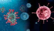 ابتلای ۶۸ نفر به آنفلوانزا در چهارمحال و بختیاری