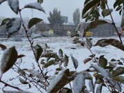 بارش ۱۱۸ سانتی‌متری برف در اردبیل