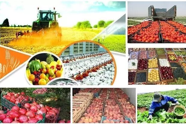 تولید ۳ میلیون تن محصولات کشاورزی در لرستان
