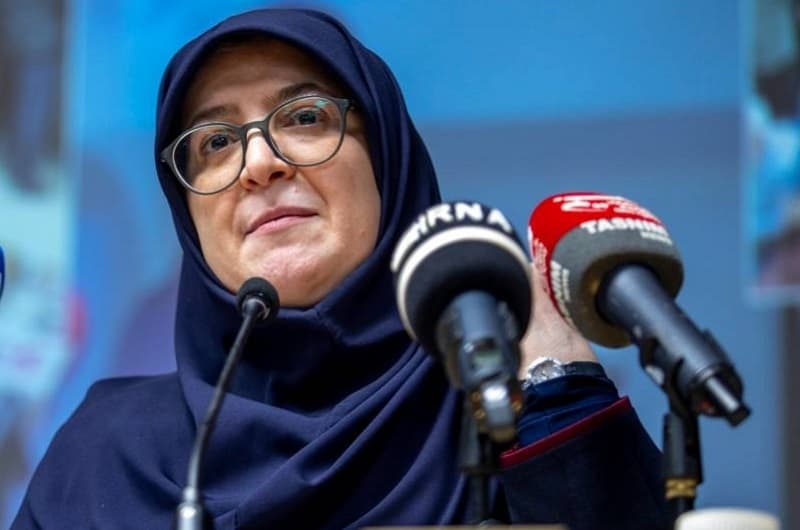سخنگوی دولت: رقم حاصل از افزایش نرخ سوم بنزین صرف معیشت مردم می‌شود