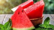 صادرات هندوانه ممنوع شد