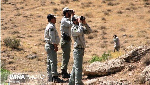 کشته شدن یک محیط‌بان به ضرب گلوله