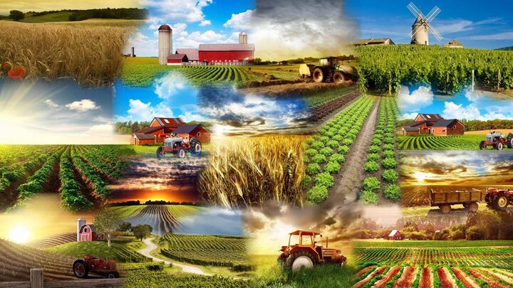 عملکرد سه ماهه دولت: از توجه به کالاهای اساسی تا اقدامات مقابله‌ای با تحریم آمریکا درحوزه کشاورزی