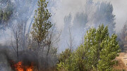 تلاش برای مهار آتش جنگل توسکستان