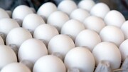 افزایش قیمت تخم‌مرغ تا شانه‌ای ۳۶۰۰۰ تومان
