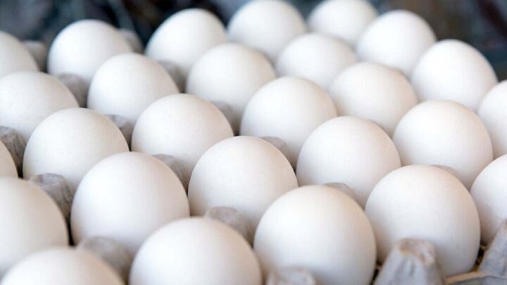 کشف ۵ میلیارد تومان تخم مرغ احتکاری در گلستان
