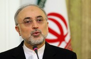 صالحی: مشکل مذاکره ایران و آمریکا حل شده است