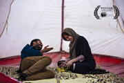 نشان ویژه جایزه سینمایی آکولاد آمریکا به «پروا» رسید
