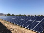 بزرگترین نیروگاه خورشیدی استان بوشهر افتتاح شد