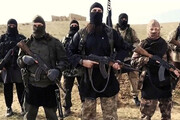 داعش ۲ تن از کارکنان دو سازمان بین‌المللی در نیجریه را ربود