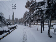 بارش برف و باران در تهران از شنبه آغاز می شود