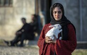 آغاز جشنواره فیلم های ایرانی استرالیا با فیلمی از الناز شاکردوست