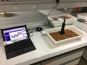 ابداع یک فناوری برای تشخیص بادام‌های تلخ!