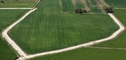 اجرای طرح کاداستر در ۱.۴ میلیون هکتار از اراضی کشاورزی