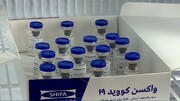 نتایج امیدوارکننده تست انسانی واکسن کوو ایران برکت