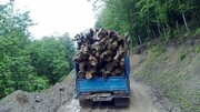 سازمان جنگل‌ها و ستاد مقابله با قاچاق تفاهم نامه امضا کردند