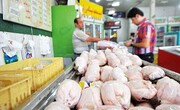 نزدیک شدن قیمت مرغ به نرخ‌های مصوب
