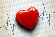 کشف نوعی ریتم شبانه‌روزی موثر بر عملکرد روزانه قلب