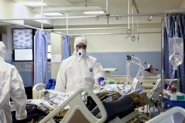 تعداد بیماران بدحال کرونایی در استان بوشهر افزایش یافت
