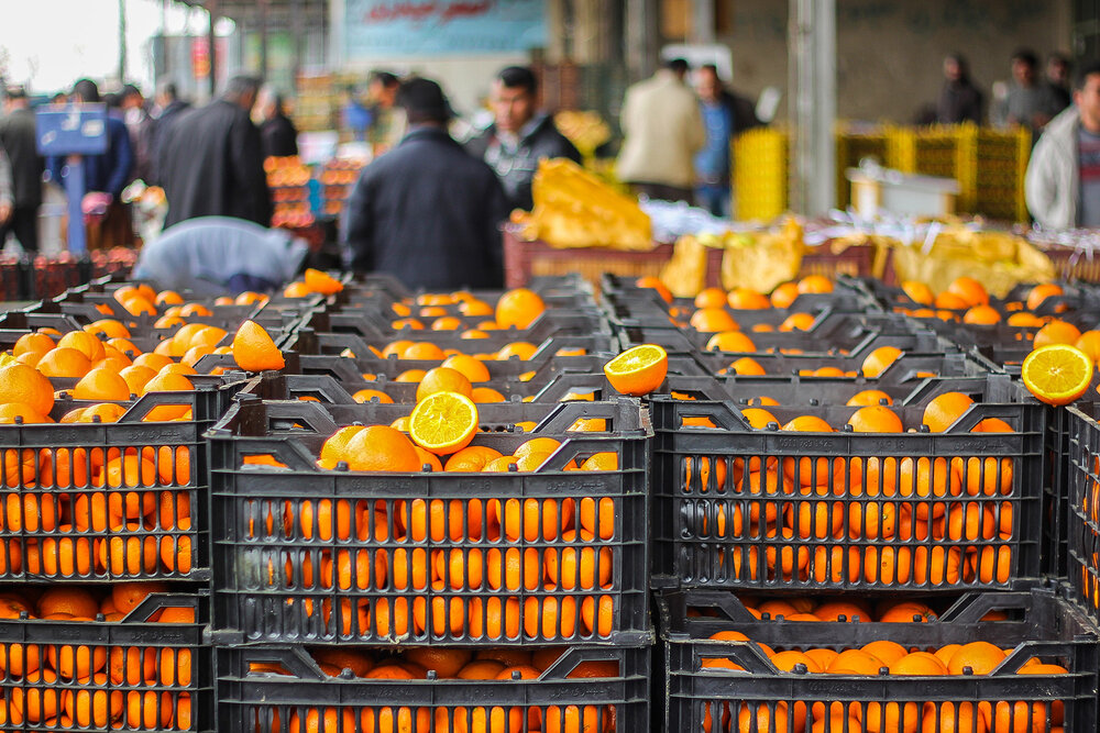 توزیع میوه تنظیم بازار شب عید در گلستان آغاز شد