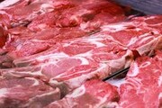 مافیای گوشت اجازه کاهش قیمت را نمی دهد!