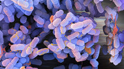 کمبود داروهای جدید برای مقابله با خطرناکترین باکتری‌های جهان