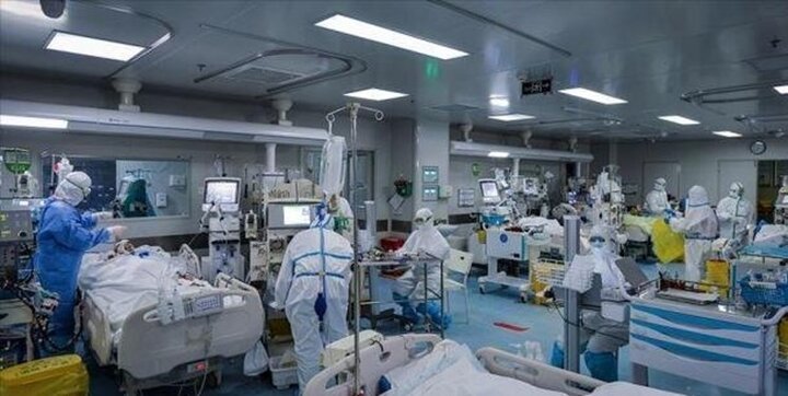 در شبانه‌روز گذشته ۲۵۱ بیمار کووید۱۹ جان خود را از دست دادند