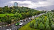 افزایش ۵ هزار هکتاری سرانه فضای سبز تهران