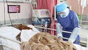 فوت ۱۶۱ بیمار کووید۱۹ در کشور در شبانه روز گذشته