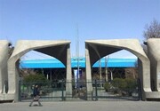 مرکز مشاوره دانشگاه تهران ممتاز کشوری شد