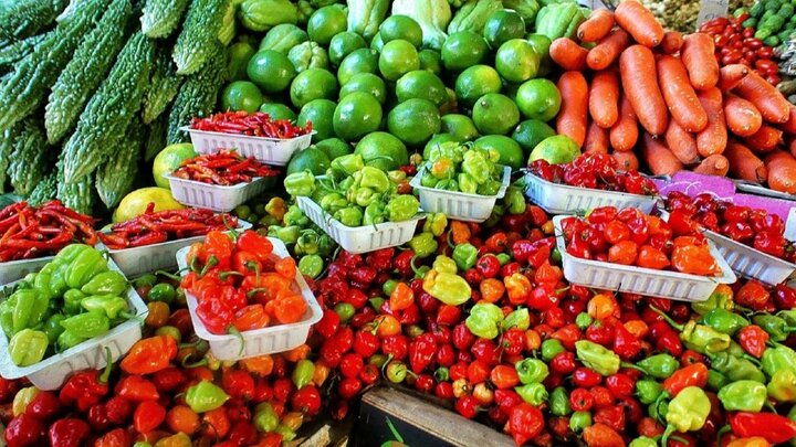 ۵.۵ میلیون محصولات کشاورزی و غذایی از کشور صادر شد