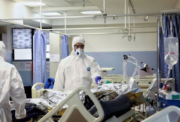 بستری ۱۶۹ بیمار کرونایی در بیمارستان خلیج فارس هرمزگان در نیمه اول شهریورماه
