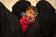 بازگشت تعدادی از خانواده‌های داعشی از سوریه به آلمان و دانمارک