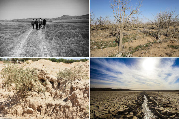 تداوم خشکسالی‌ها در استان بوشهر
