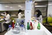 پژوهشگران ایرانی و ژاپنی همکاری علمی می‌کنند