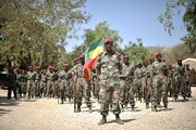 واشنگتن: جنگ داخلی اتیوپی راهکار نظامی ندارد