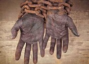 ادبیات داستانی آغازگر لغو برده‌داری