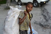 ۸۵ درصد کودکان کار شناسایی شده "ایرانی" نیستند