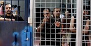 دستگیری آخرین اسرای فلسطینی فراری از زندان جلبوع