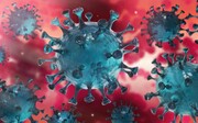 جامعه اطلاعاتی آمریکا گزارش خود را درباره منشاء ویروس کرونا منتشر کرد + پاسخ چین