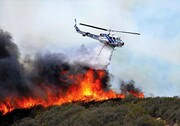 آتش سوزی جنگل های کردکوی استان گلستان اطفا شد
