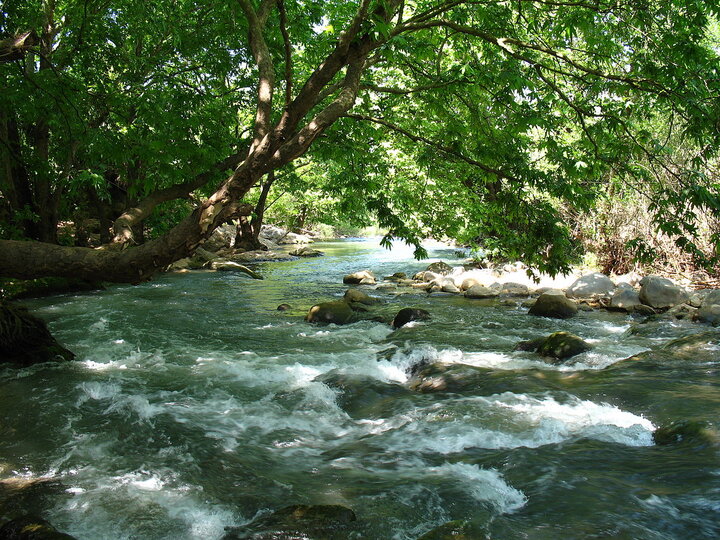 اجاره دادن حریم رودخانه‌ها با استناد به یک آیین‌نامه