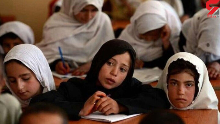همسایه هم مدرسه را دوست دارد