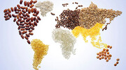 امنیت غذایی جهان در خطر است/ هشدار ۴ نهاد وابسته به سازمان ملل