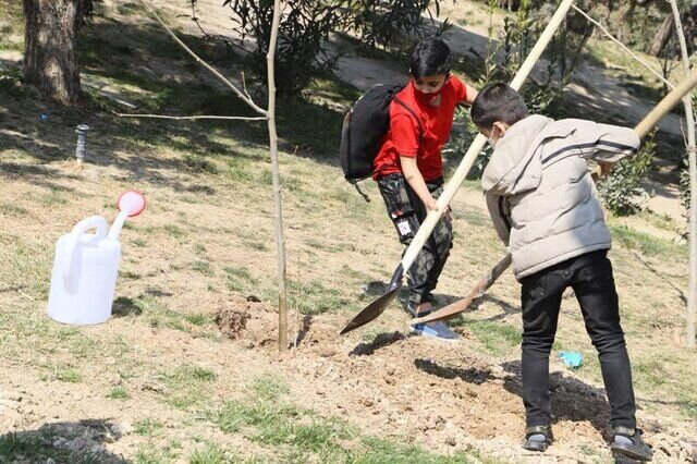 کاشت و نگهداری درخت باید به دانش‌آموزان آموزش داده شود