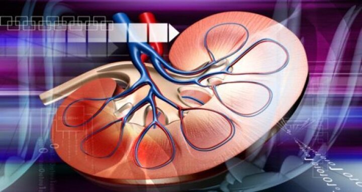 ارتباط افزایش دما با خطر ابتلا به بیماری کلیوی