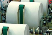 غفلت دولت از صادرات کاغذ بسته بندی